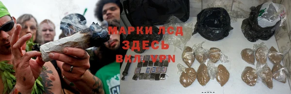 круглые Пересвет