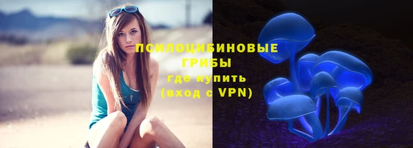 мяу мяу мука Абдулино
