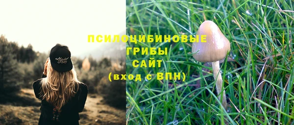 сатива Алексеевка