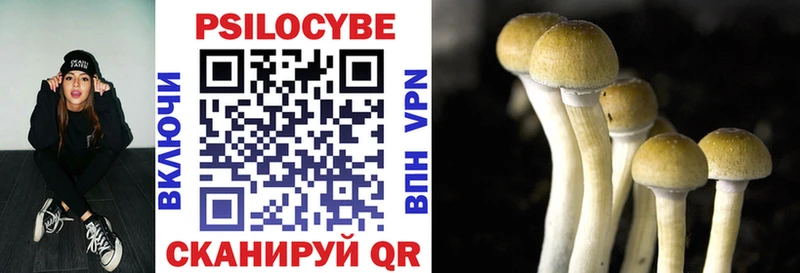 Галлюциногенные грибы ЛСД  хочу   блэк спрут как войти  Сортавала 